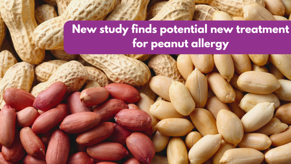 New study finds potential new treatment for peanut allergy