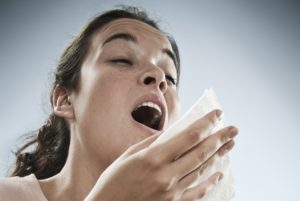 How to get rid of dust mites