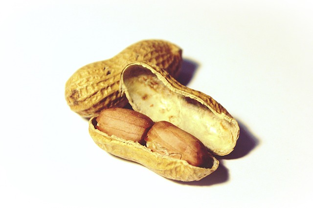 Treatment for Peanut Allergy