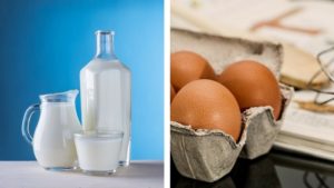 Milk Allergy Egg Allergy