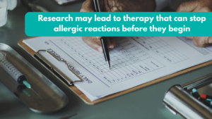 Research may lead to therapy that can stop allergic reactions before they begin