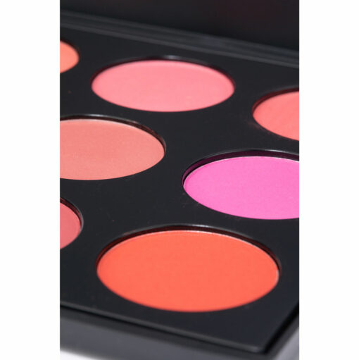 9 Color Compact Blush