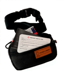 Inhaler case with insulated lining holding asthma inhaler and allergy medication